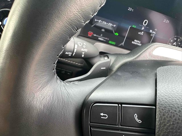 TOYOTA ALPHARD HYBRID 2024 Image 31