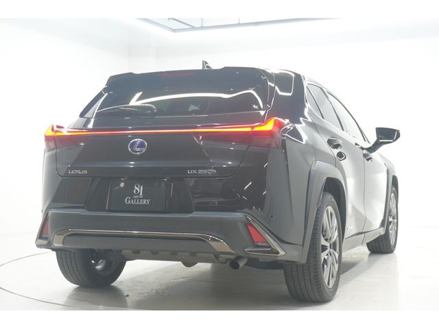 TOYOTA LEXUS UX250H 2021 Image 31