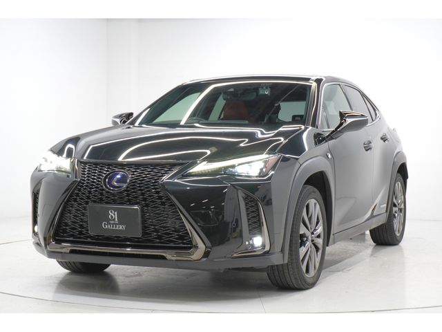 TOYOTA LEXUS UX250H 2021 Image 31