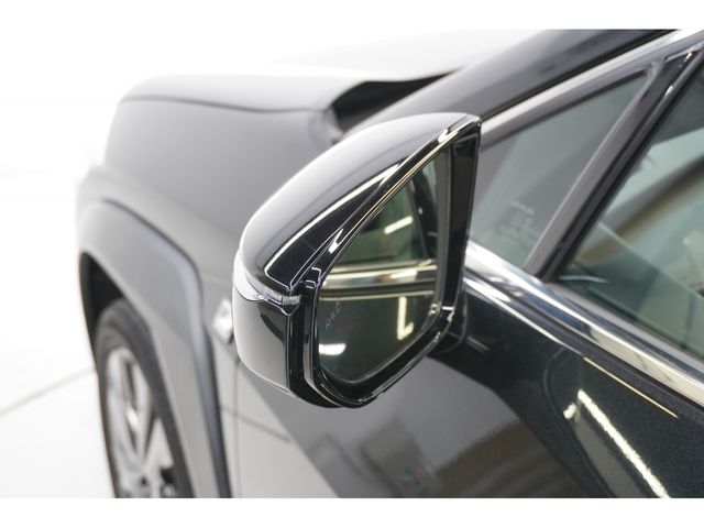 TOYOTA LEXUS UX250H 2021 Image 31