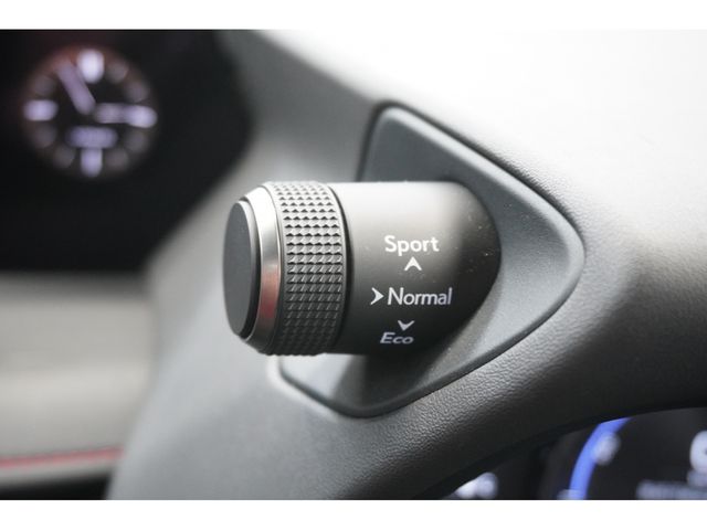 TOYOTA LEXUS UX250H 2021 Image 31