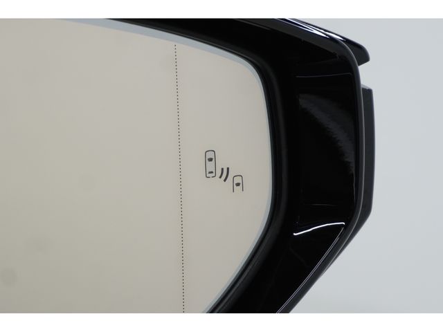 TOYOTA LEXUS UX250H 2021 Image 31