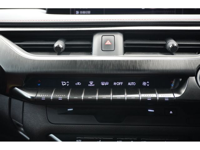 TOYOTA LEXUS UX250H 2021 Image 31