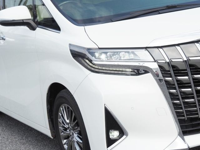TOYOTA ALPHARD 2019 Image 31