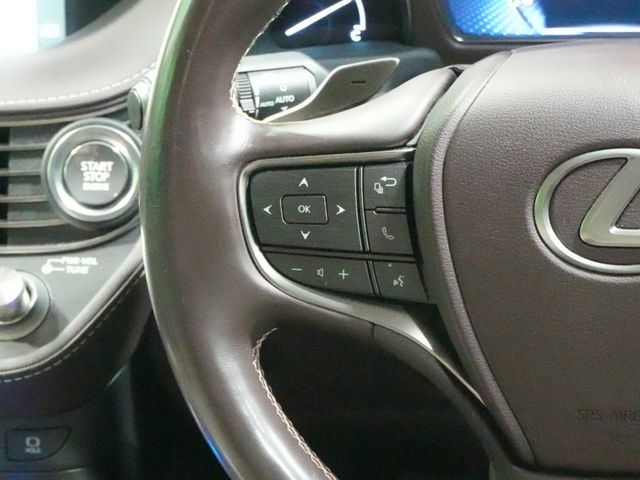 TOYOTA LEXUS LS500 2019 Image 31