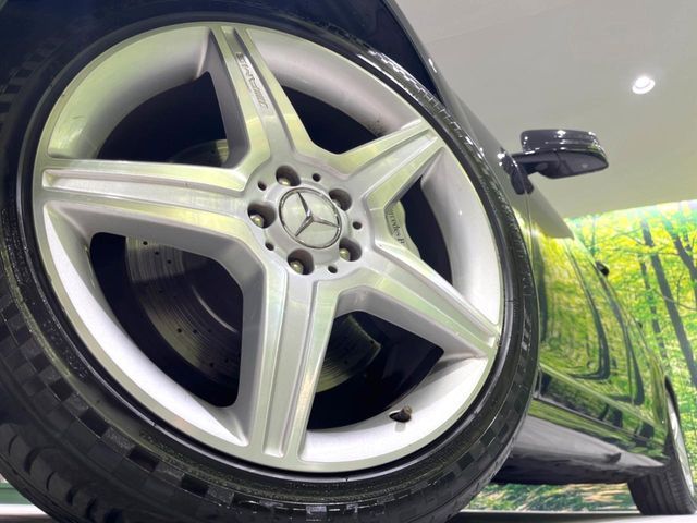 MERCEDES BENZ S CLAS 2013 Image 31