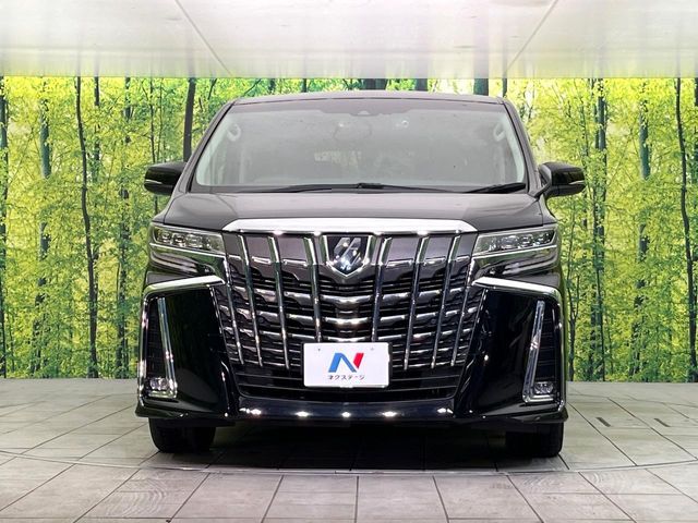 TOYOTA ALPHARD 2019 Image 31