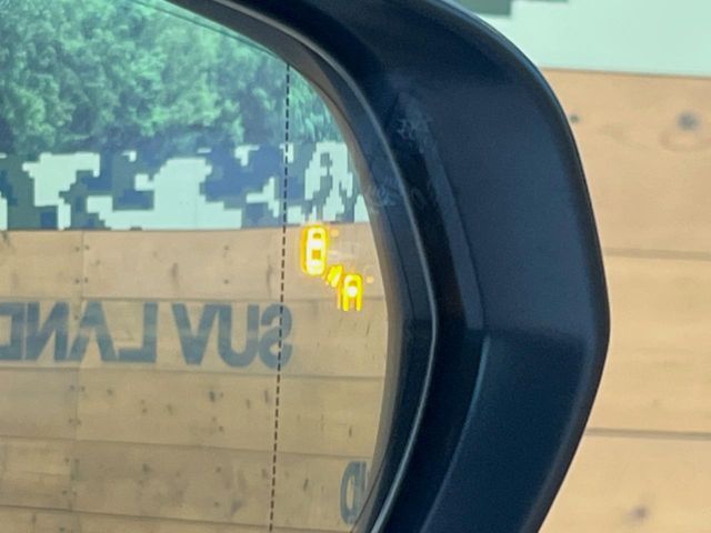 TOYOTA LEXUS NX350H 2023 Image 31