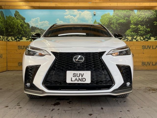TOYOTA LEXUS NX350H 2023 Image 31