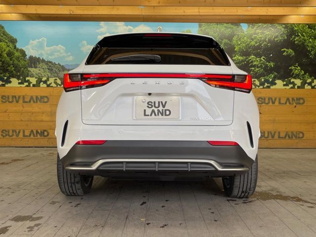 TOYOTA LEXUS NX350H 2023 Image 31