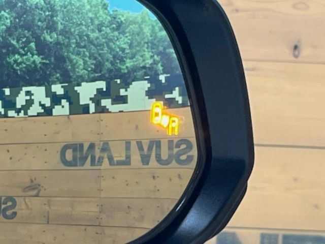 TOYOTA ALPHARD HYBRID 2024 Image 31