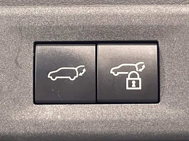 TOYOTA LEXUS NX350H AWD 2023 Image 31