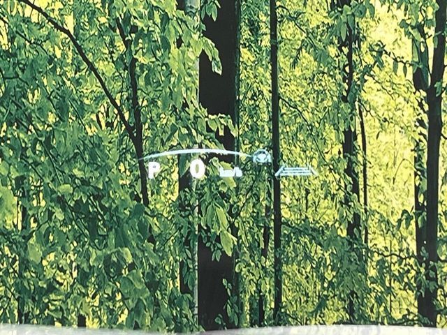 TOYOTA LEXUS NX350H AWD 2023 Image 31