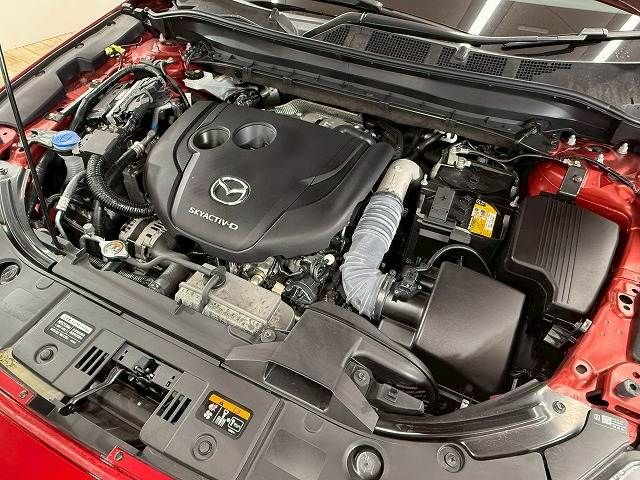 MAZDA CX-8 2023 Image 31