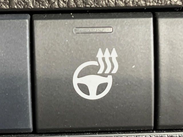 TOYOTA RAV4 HYBRID 4WD 2020 Image 31