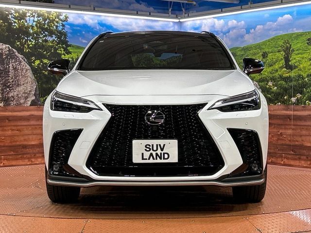 TOYOTA LEXUS NX350H 2023 Image 31