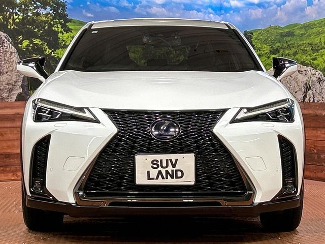TOYOTA LEXUS UX250H 2019 Image 31