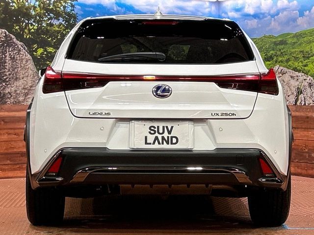 TOYOTA LEXUS UX250H 2019 Image 31