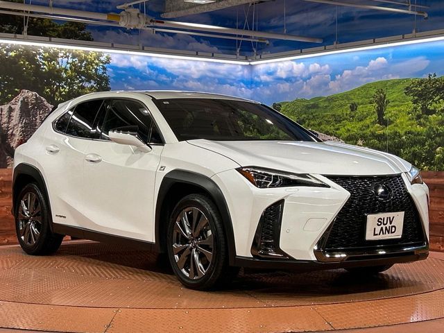 TOYOTA LEXUS UX250H 2019 Image 31