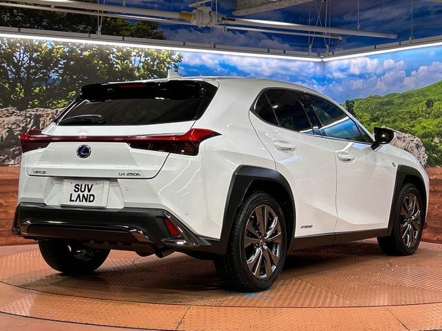 TOYOTA LEXUS UX250H 2019 Image 31
