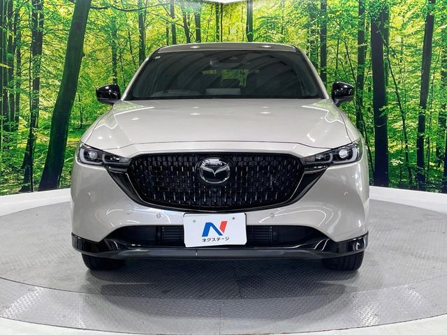 MAZDA CX-8 2023 Image 31