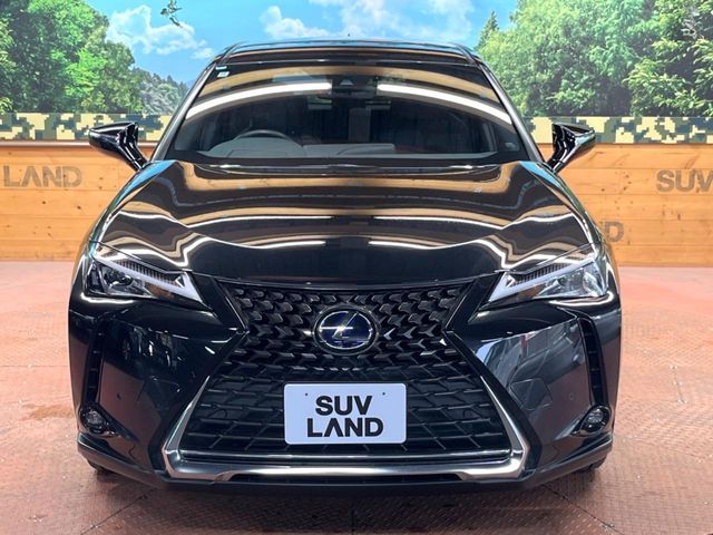 TOYOTA LEXUS UX250H 2020 Image 31