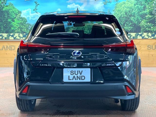 TOYOTA LEXUS UX250H 2020 Image 31