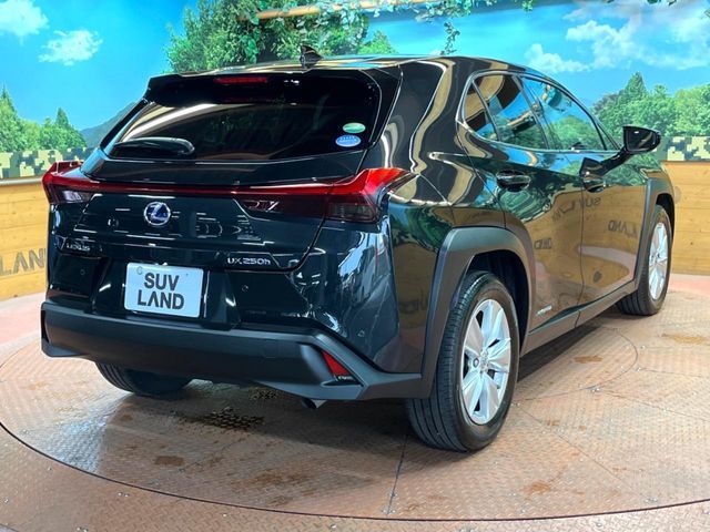 TOYOTA LEXUS UX250H 2020 Image 31