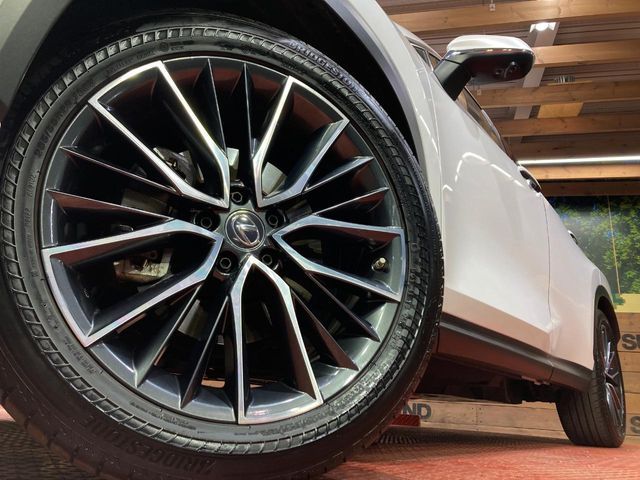 TOYOTA LEXUS NX250 2022 Image 31