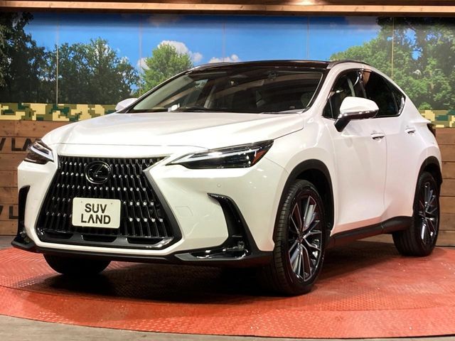 TOYOTA LEXUS NX250 2022 Image 31