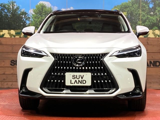 TOYOTA LEXUS NX250 2022 Image 31