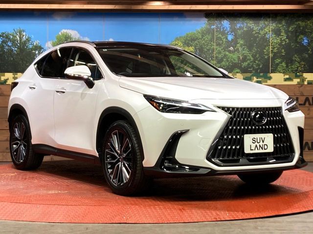 TOYOTA LEXUS NX250 2022 Image 31