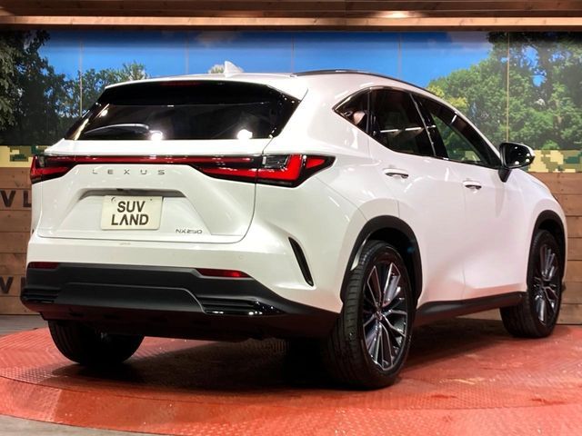 TOYOTA LEXUS NX250 2022 Image 31