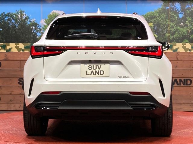 TOYOTA LEXUS NX250 2022 Image 31