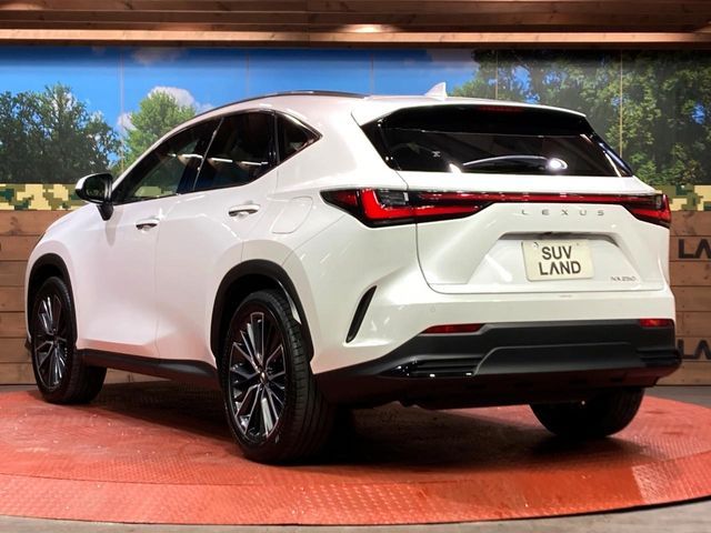 TOYOTA LEXUS NX250 2022 Image 31