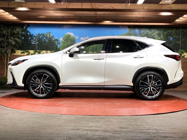 TOYOTA LEXUS NX250 2022 Image 31