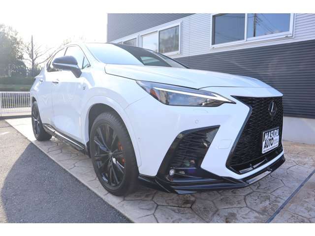 TOYOTA LEXUS NX350 AWD 2025 Image 31