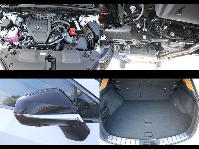 TOYOTA LEXUS NX350 AWD 2025 Image 31