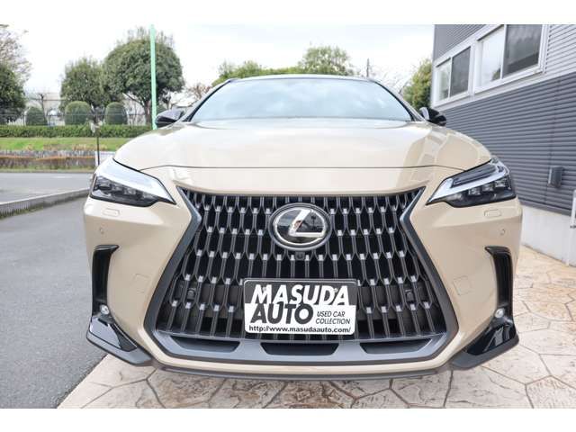 TOYOTA LEXUS NX350H AWD 2025 Image 31