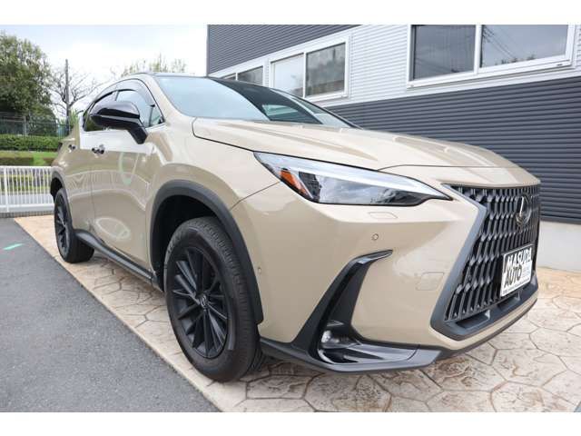 TOYOTA LEXUS NX350H AWD 2025 Image 31