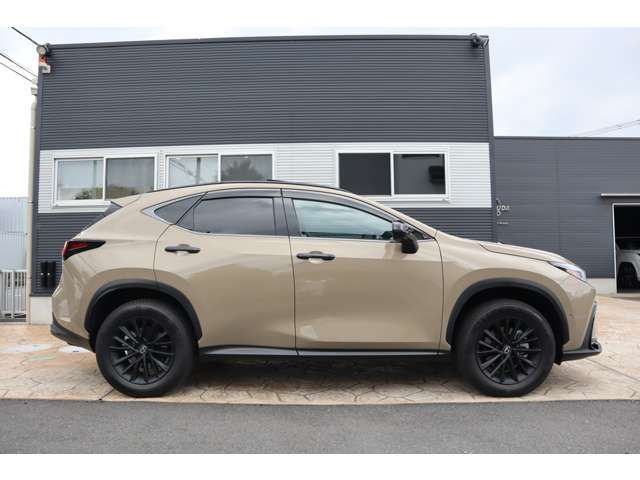 TOYOTA LEXUS NX350H AWD 2025 Image 31