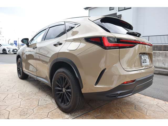 TOYOTA LEXUS NX350H AWD 2025 Image 31