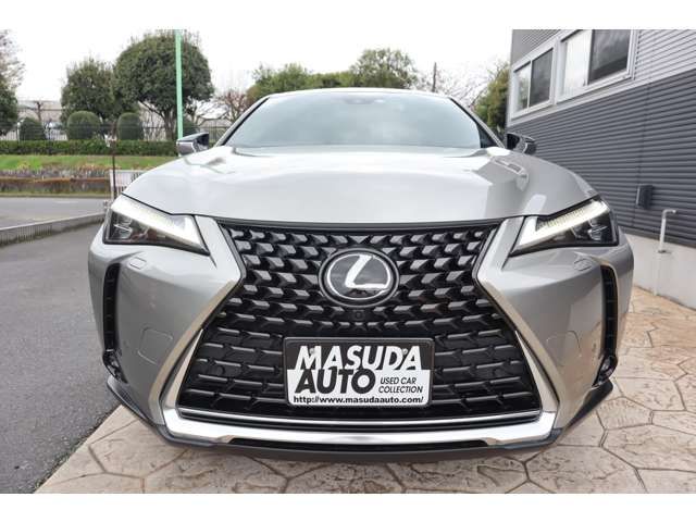 TOYOTA LEXUS UX250H AWD 2023 Image 31