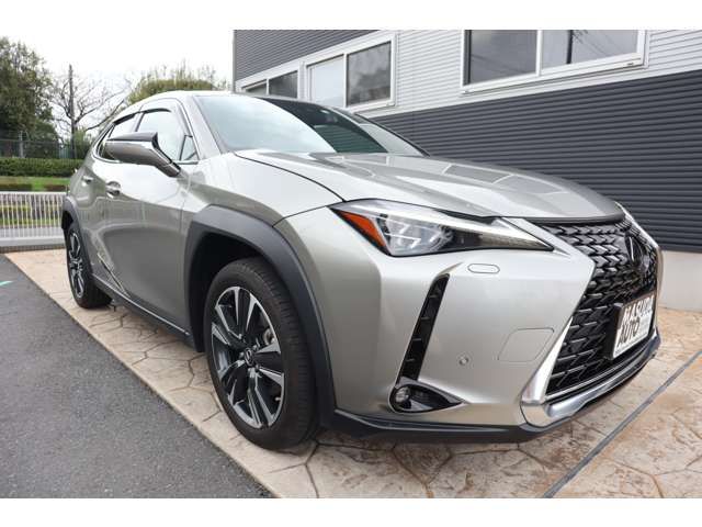 TOYOTA LEXUS UX250H AWD 2023 Image 31