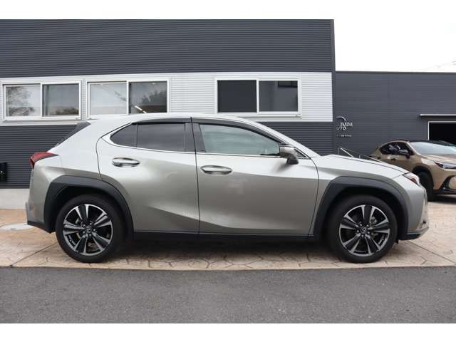TOYOTA LEXUS UX250H AWD 2023 Image 31