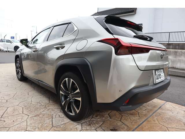 TOYOTA LEXUS UX250H AWD 2023 Image 31