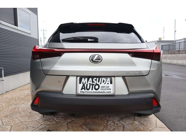 TOYOTA LEXUS UX250H AWD 2023 Image 31