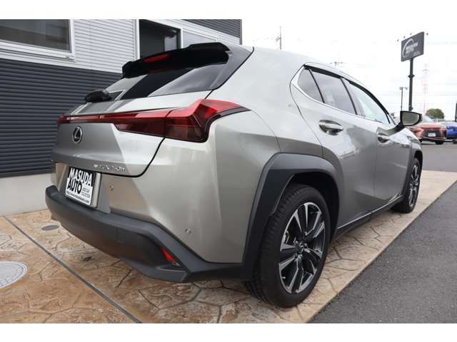 TOYOTA LEXUS UX250H AWD 2023 Image 31