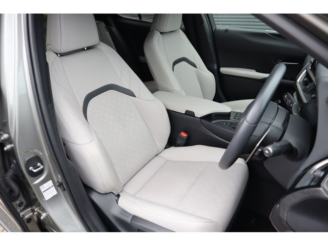 TOYOTA LEXUS UX250H AWD 2023 Image 31