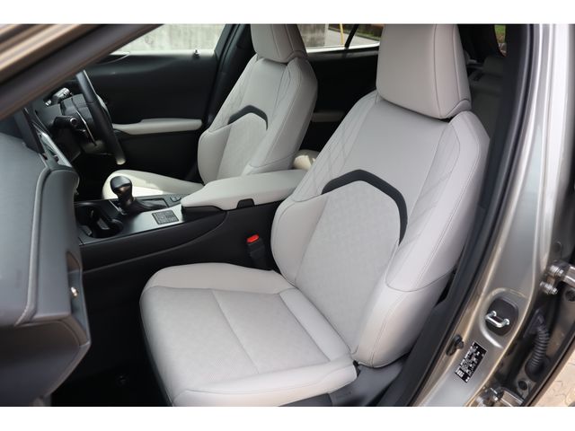 TOYOTA LEXUS UX250H AWD 2023 Image 31